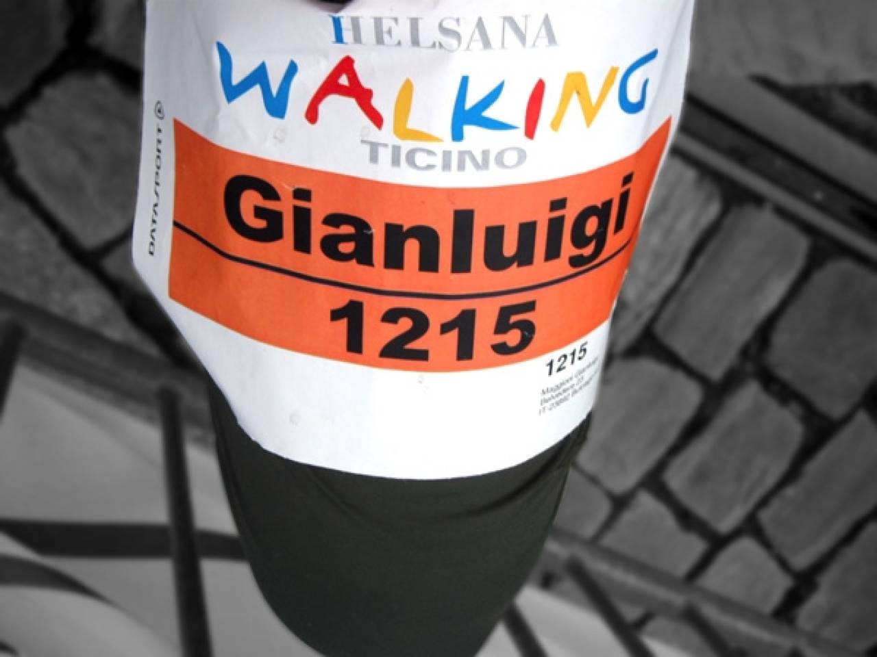Nordic Walking a Locarno - 2007